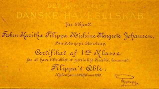 Filipa certifikat af 1889